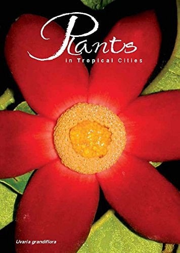 Plants in Tropical Cities