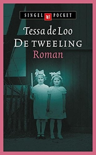 De tweeling roman
