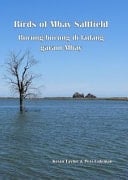 Birds of Mbay Saltfield