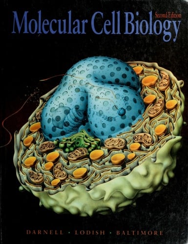 Molecular Cell Biology