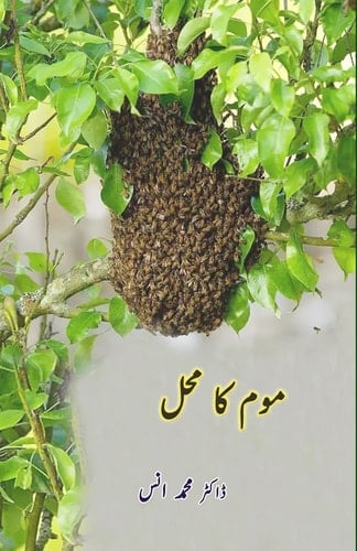 Mom ka Mahal (Kids Stories)