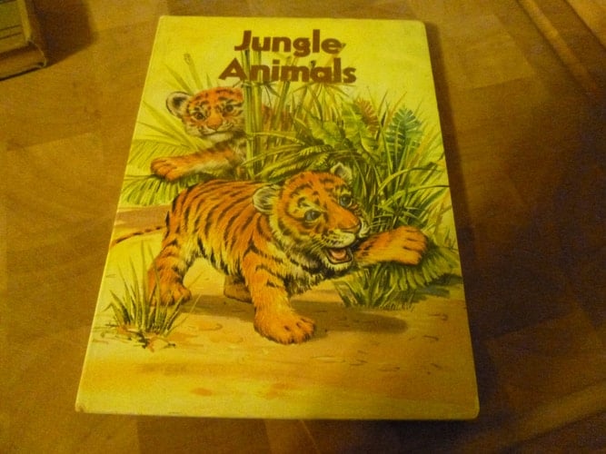 Jungle Animals