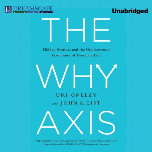 The Why Axis: Hidden Motives and the Undiscovered Economics of E