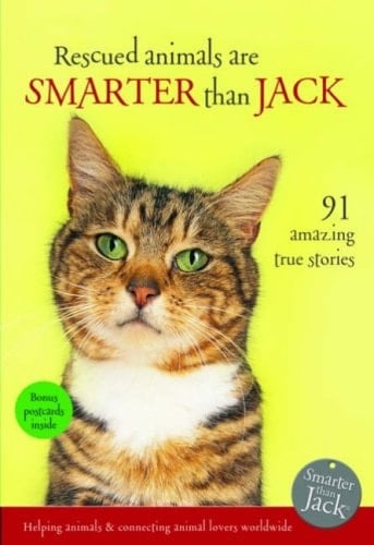 Rescued Animals Are Smarter Than Jack 91 Amazing True Stories