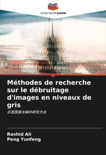 Méthodes de recherche sur le débruitage d'images en niveaux de gris:  (French Edition)