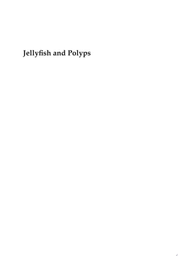 Jellyfish and Polyps Cnidarians as Sustainable Resources for Biotechnological Applications and Bioprospecting