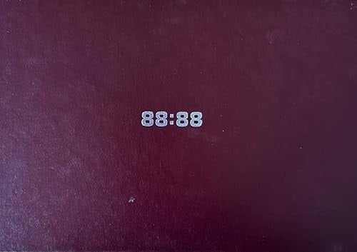 Dominique Gonzalez-Foerster 88:88