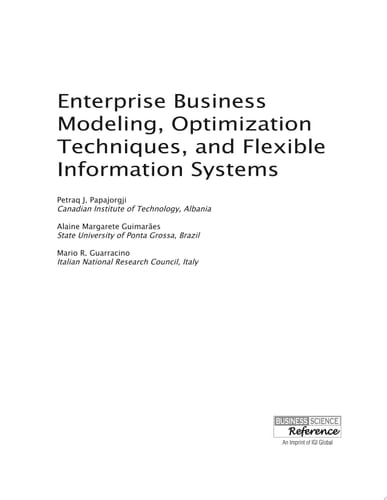 Enterprise Business Modeling, Optimization Techniques, and Flexible Information Systems