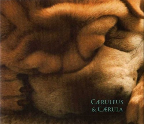 Caeruleus & Caerula