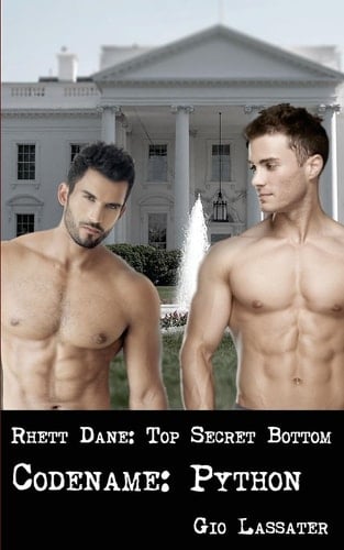 Rhett Dane: Top Secret Bottom Codename: Python
