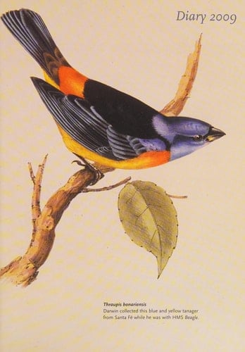 Diary 2009