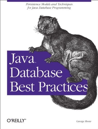 Java Database Best Practices: Persistence Models and Techniques for Java Database Programming