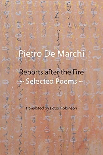 Reports After the Fire Selected Poems