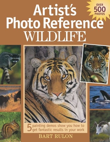 Artist's Photo Reference - Wildlife