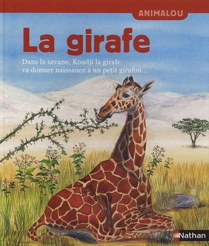 La girafe