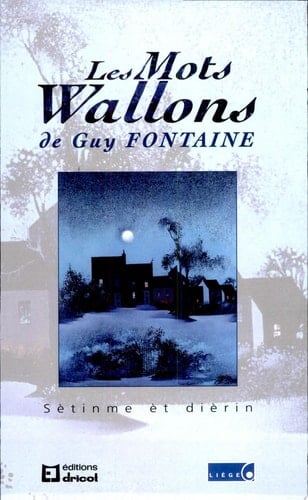 Les mots wallons Tome 7