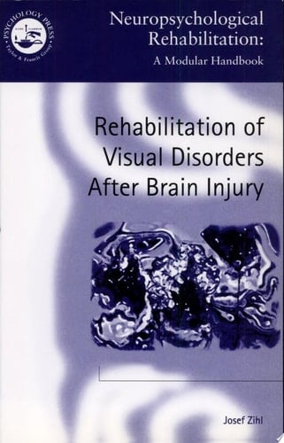 Rehabilitation of Visual Disorders After Brain Injury