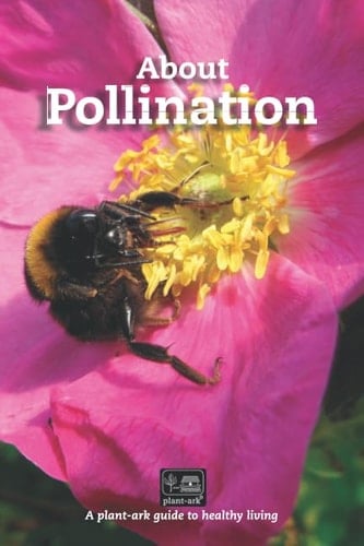 About Pollination: What is pollination, its importance, how pollination works, how it impacts on plants & our lives, threats to pollination PLUS an introduction to beekeeping (About plants)