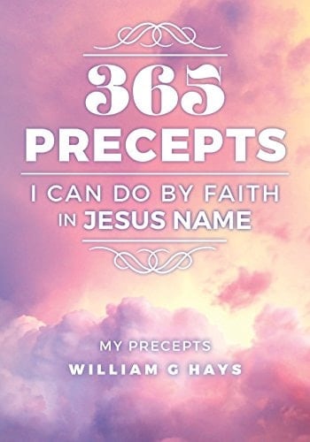 365 Precepts I Can Do by Faith in Jesus Name My Precepts
