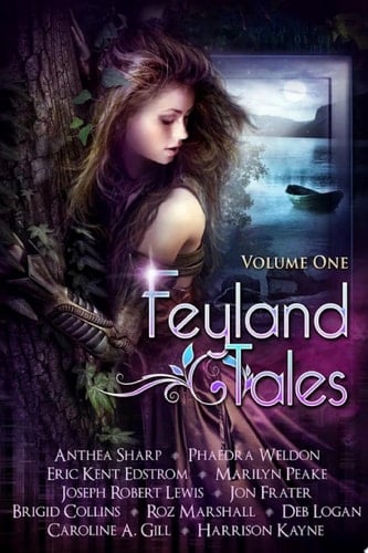 Feyland Tales Volume 1 in Gamelit and litRPG YA Fantasy Feyland series