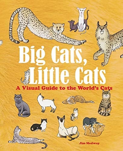 Big Cats, Little Cats A Visual Guide to the World's Cats