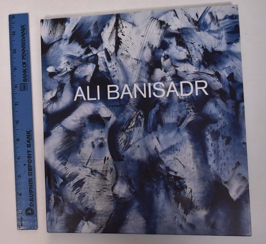 Ali Banisadr Trust in the Future