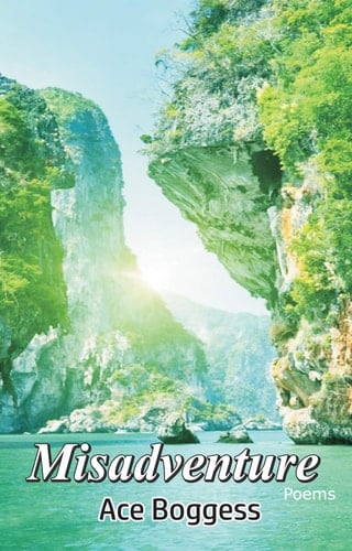 Misadventure