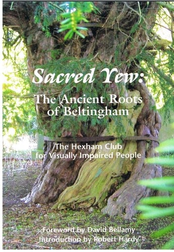 Sacred Yew: The Ancient Roots of Beltingham
