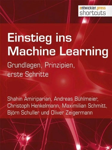 Einstieg ins Machine Learning Grundlagen, Prinzipien, erste Schritte