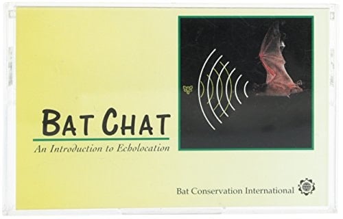 Bat Chat: An Introduction to Echolocation