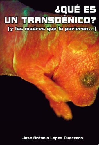 ¿Qué es un transgénico? y las madres que lo parieron...