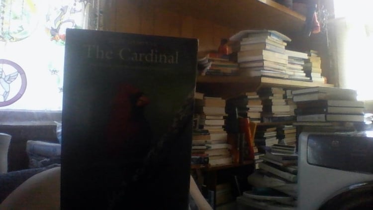 The Cardinal