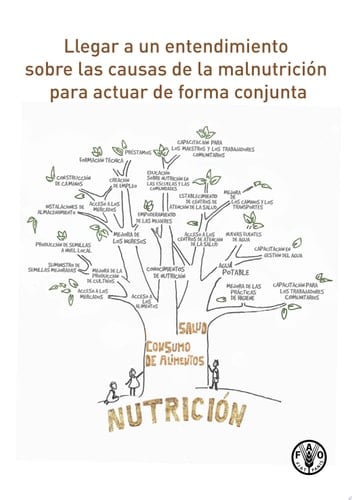 Llegar a un entendimiento sobre las causas de la malnutrición para actuar de forma conjunta