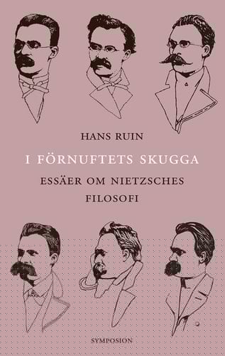 I förnuftets skugga essäer om Nietzsches filosofi