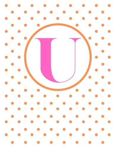 U Initial Notebook