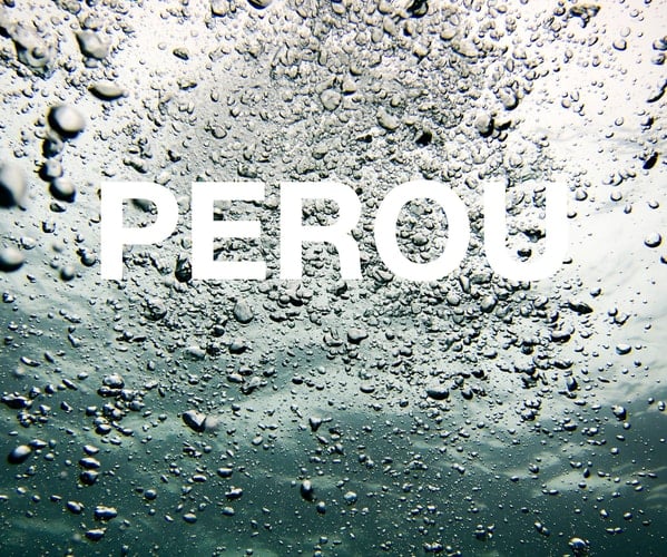 Perou's Secret Diary 2013