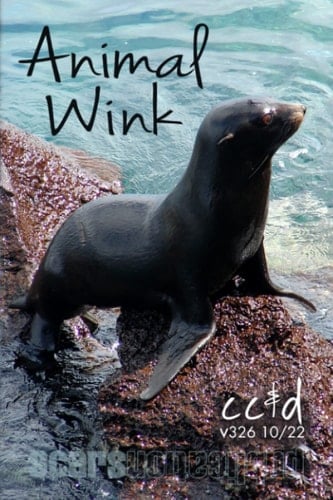 Animal Wink: 10/22 cc&d, v326