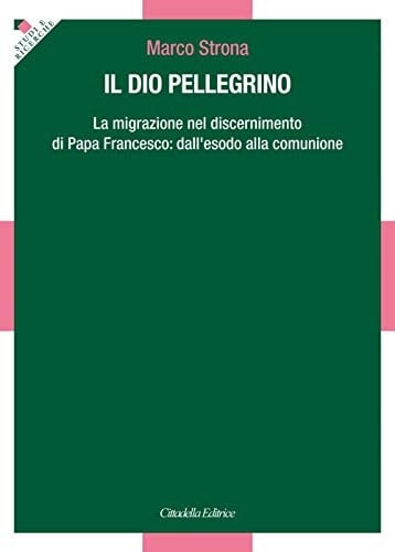 Il Dio pellegrino la migrazione nel discernimento di Papa Francesco : dall'esodo alla comunione