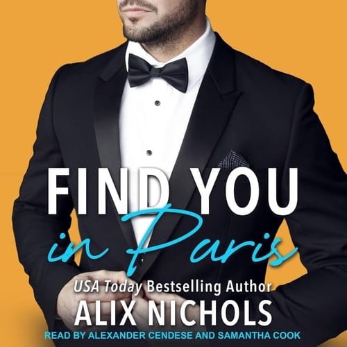 Find You in Paris Lib/E: An Enemies-To-Lovers Romance (Darcy Brothers Series Lib/E)