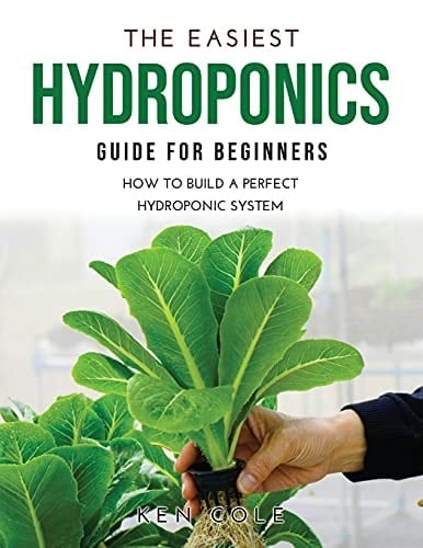 The Easiest Hydroponics Guide for Beginners How To Build A Perfect Hydroponic System