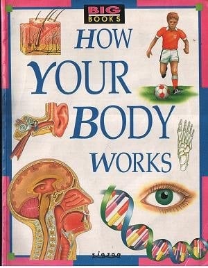 How Your Body Works