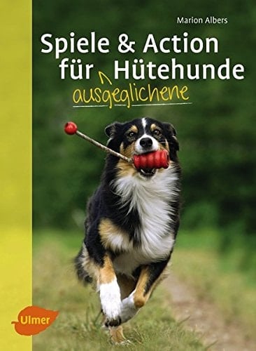 Spiele und Action für ausgeglichene Hütehunde Border Collie, Australian Shepherd & Co. rassegerecht auslasten