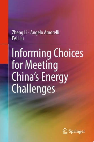 Informing Choices for Meeting China’s Energy Challenges