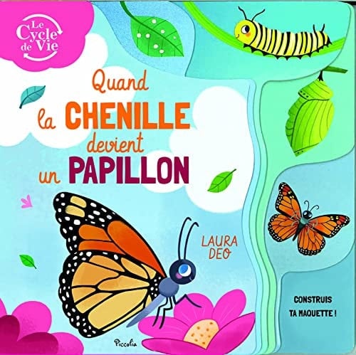 Quand la chenille devient papillon