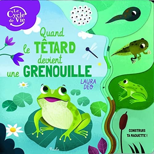 Quand le têtard devient grenouille