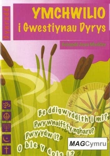 Ymchwilio I Gwestiynau Dyrys