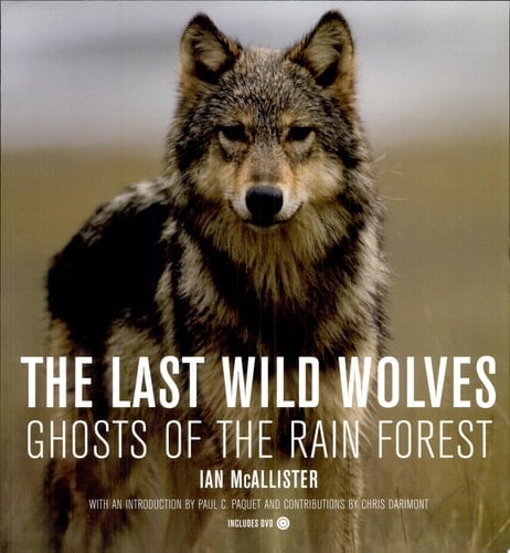 The Last Wild Wolves Ghosts of the Rain Forest