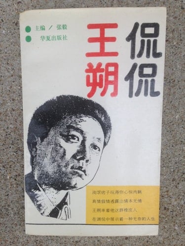 Wang, Shuo, 1958- Criticism and interpretation.