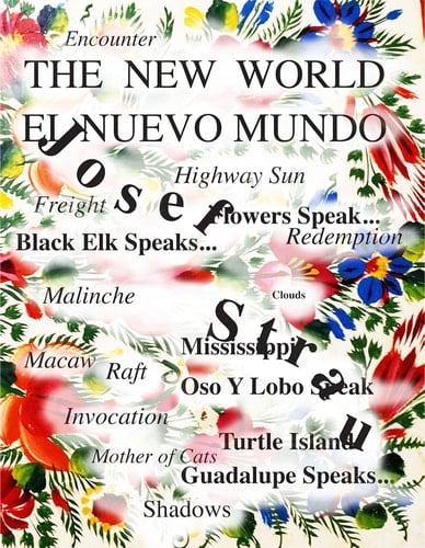 Josef Strau The New World 2, Travels in Turtle Island