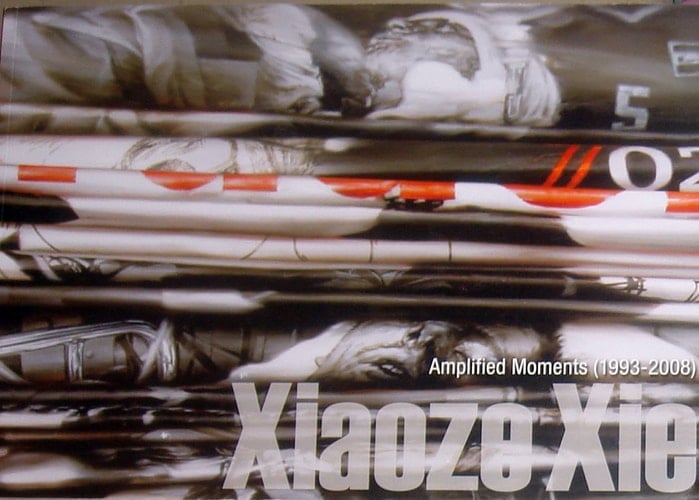 Xiaoze Xie Amplified Moments (1993-2008)
